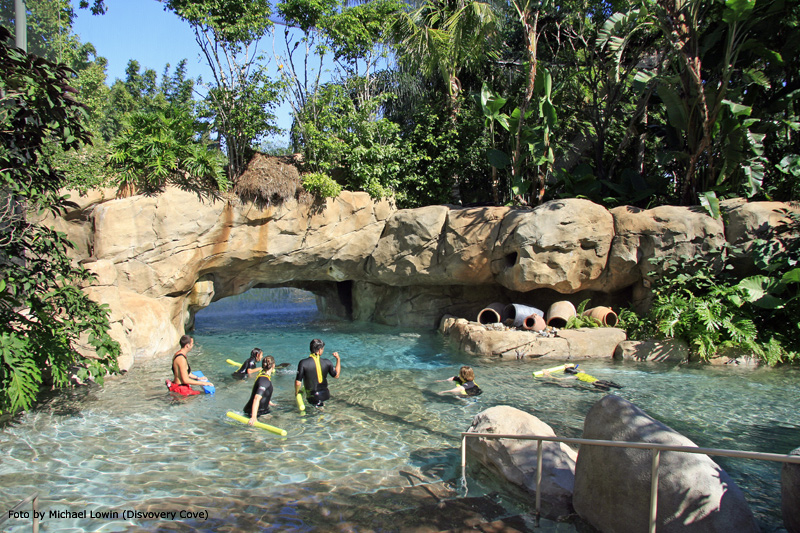Discovery Cove River