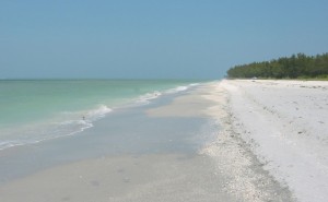 florida sanibel beach bowlands beach